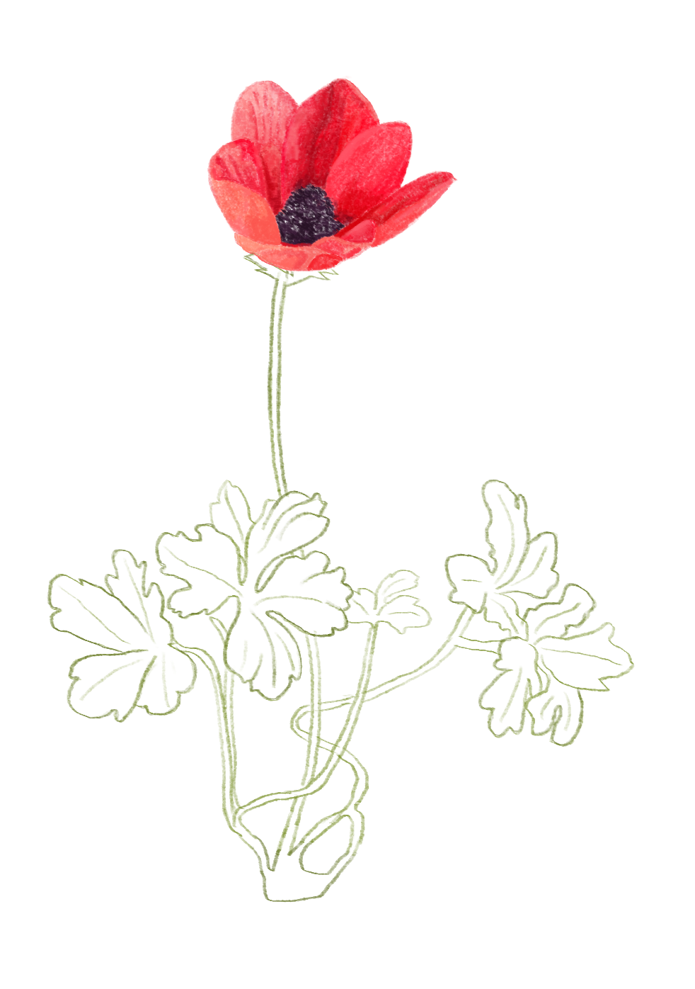 PIF Lent 2025 comp copy